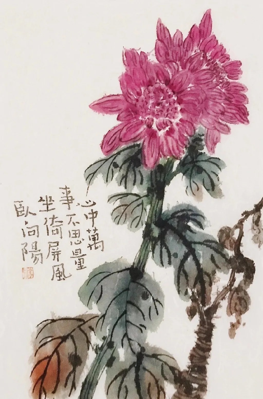 人生|10首宽心诗词,句句哲理,助你看开人生烦恼