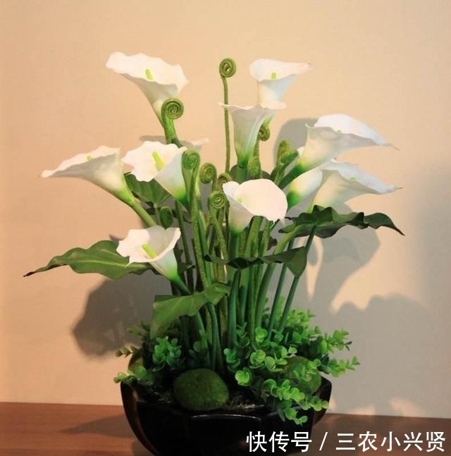 缺水|看好了, 就是这五种花! 越浇越爆盆, 一缺水马上就蔫了, 你家有吗