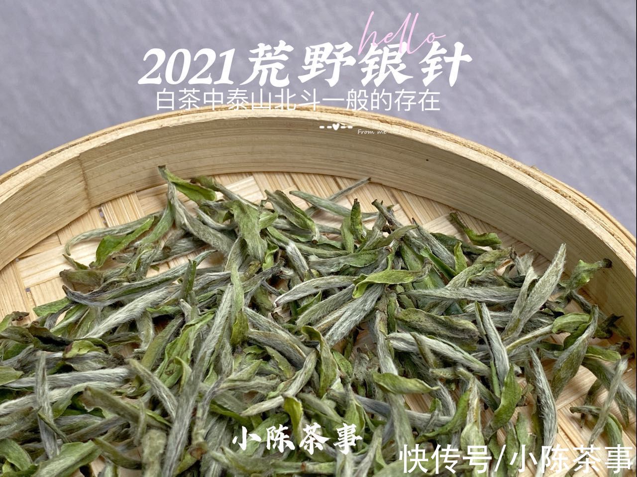 白毫银针$泡茶水温重要吗？80℃、90℃、100℃，谁才是泡白茶的最佳水温？