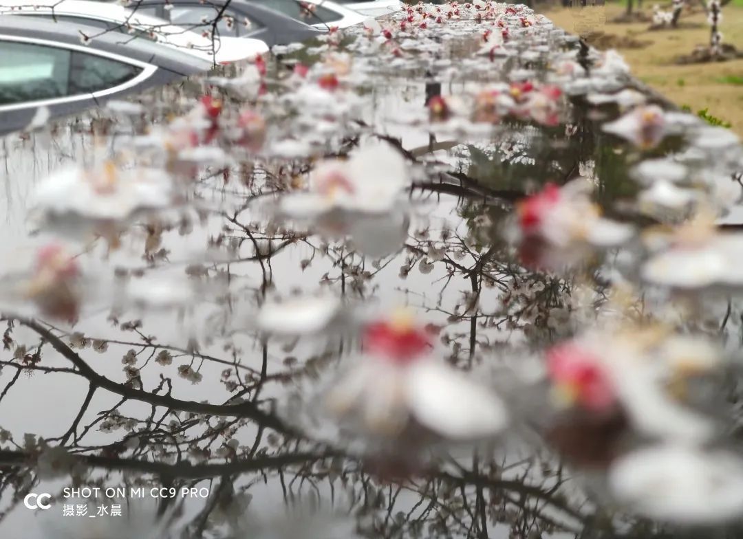 我“雨”最美校园，一起云赏沪上46所高校雨中即景