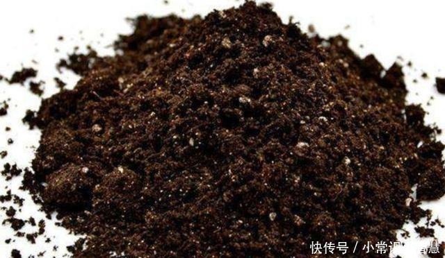 植株|在家制作营养土,加上3种“废弃物”,松软透气、营养成分多!