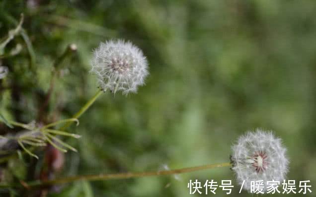 营养物质|大自然的阿司匹林找到了，坚持每天吃一点，血管通畅防血栓！