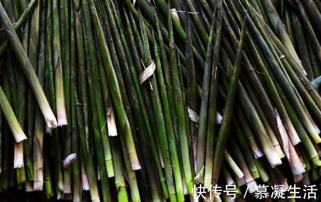 吃法|68种野菜图片，教你认识不同的野菜和吃法，你想要的野菜这里都有