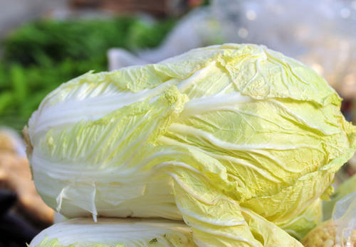 买白菜时,选绿的还是白的好老菜农不小心说漏嘴,别再买错了