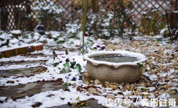 花园|荒废多年的80㎡小院,2年半时间打造成下沉式花园,太漂亮了!