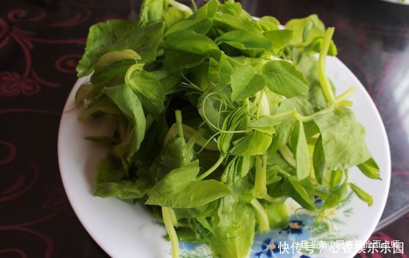 这菜7块钱一把,天然“泻药菜”,下饭可口,皮肤细腻,越吃越瘦