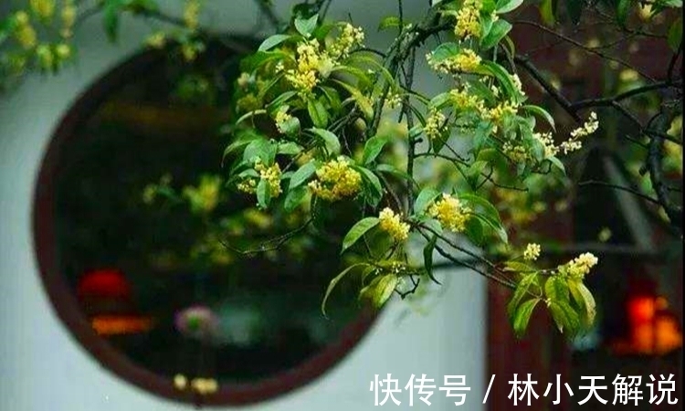 王维$三首唐诗写春天,春光春色春满园,读经典恍若神游胜景一“耍仙”