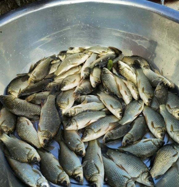 漂相很稳就是打不中鱼?解决起来挺简单,但要排除一个问题