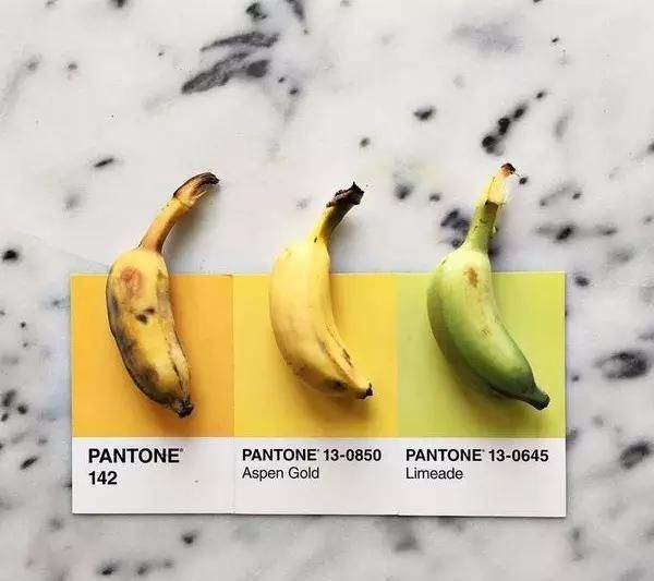 设计师|设计师是好色之徒吧不然怎么能拍出这组创意十足的食物色卡