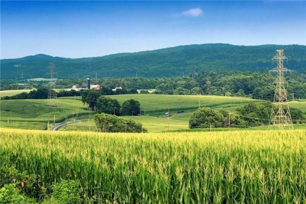 出嫁女|已婚女子户口在娘家,土地确权有份吗听内行人说完,瞬间明白了