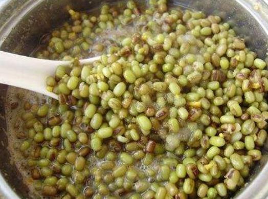 君子兰“不好养”吃点“蛋白质”,花苞一团接一团,花开不停歇