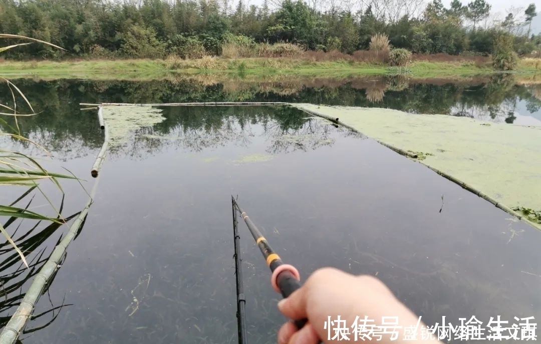 谁说钓鱼找底不重要?它的作用可不仅是为了调漂,绝不可省略