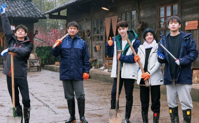 杨紫|张子枫觉得杨紫很适合《向往5》,直接打电话给她,杨紫回复超搞笑