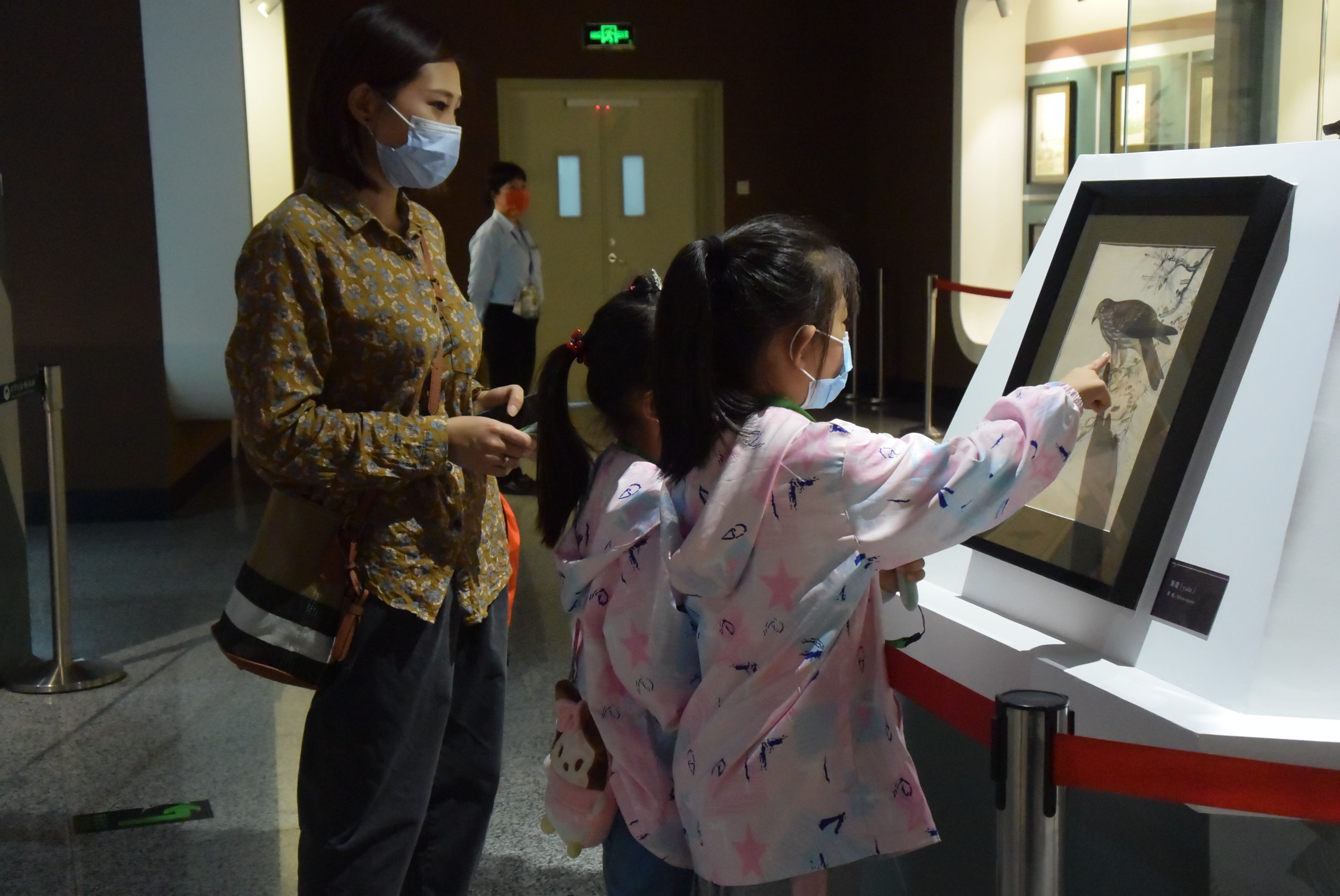 卢济珍&来天津看鸟类科学画