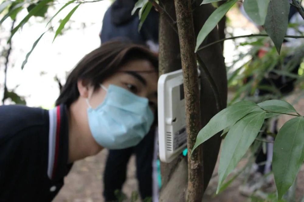  炊火|炊火中寻人间味 擘山尽探自然谜