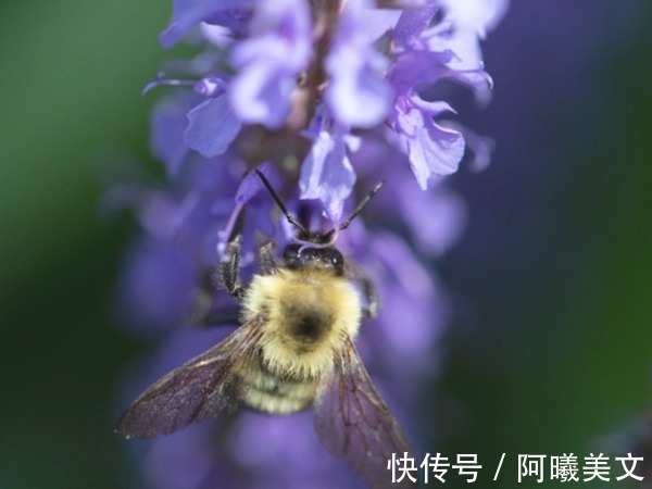 巨蟹座|未来20天，情不知所起，一往而深，3星座追回旧爱，一生缠绵