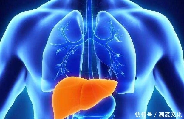 26个冷知识:或许从没听说过,但却真实存在于现实世界