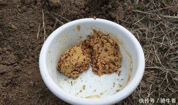 冬季钓鲫鱼,绝佳饵料“肉夹馍”的制作要点,下钩就有口!