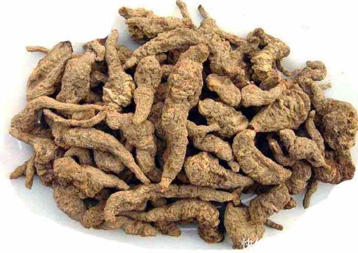 农村这种野草,李时珍称它“服之面如桃花,轻身不老”!你见过么