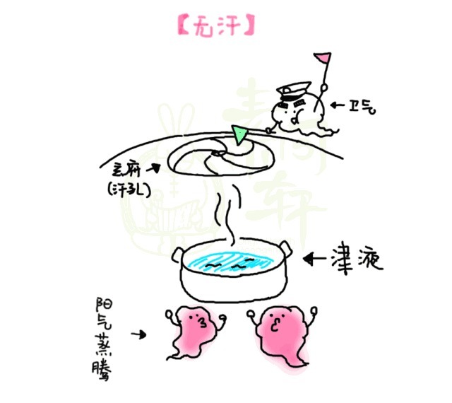 臭汗|出什么汗,得什么病:臭汗源于肝,虚汗源于肺,冷汗源于肾