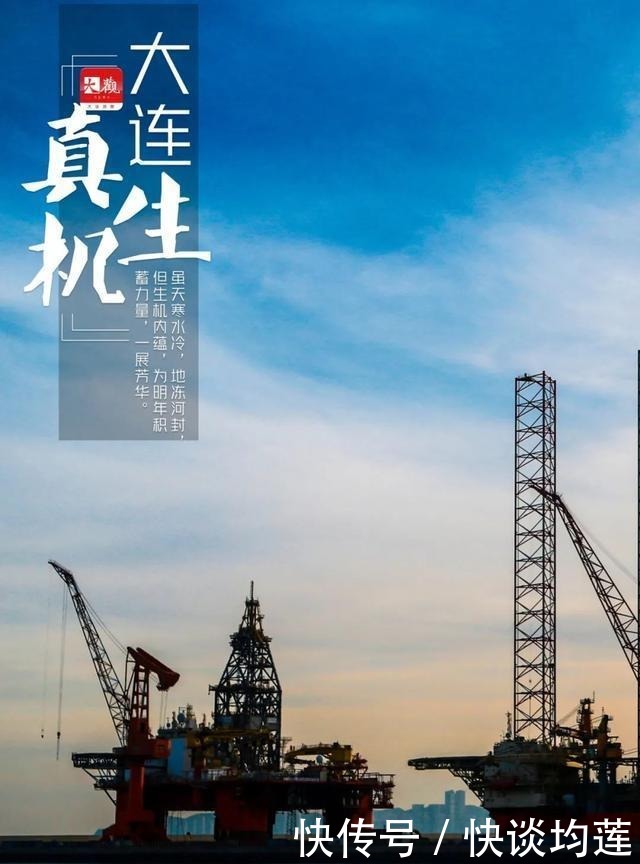 大连|大雪,大连,大生机