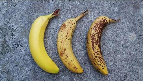 南瓜|大脑最喜欢的食物排行榜，核桃只排到第四，常吃的下酒菜排第一