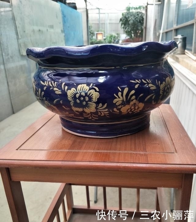 透气性|家中的花盆你选对了吗 每一种花盆都适合养什么, 千万不要乱用