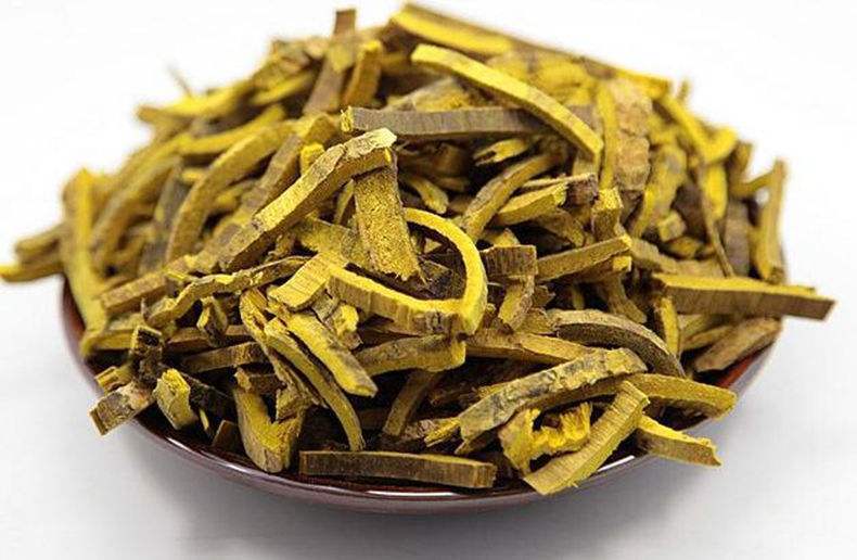 黄柏|中医有5火心火、肝火、胃火、肺火、肾火，该怎么一招祛火