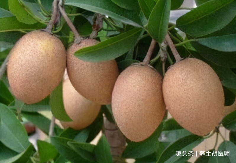 青椒|每天晚上坚持吃三种食物，营养丰富，增强体质，好处多多！