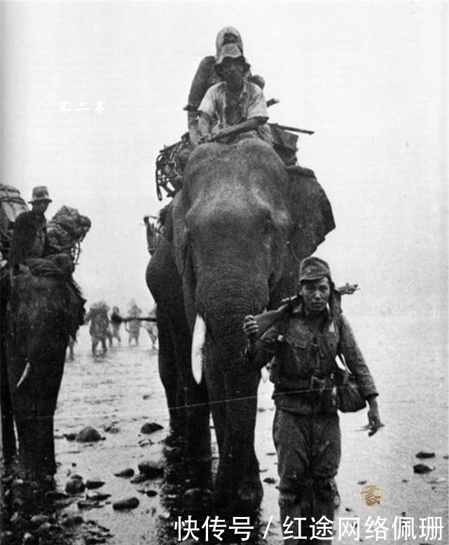 无比|镜头下真实的日军模样如何?跟神剧中很不一样,强势且无比疯狂