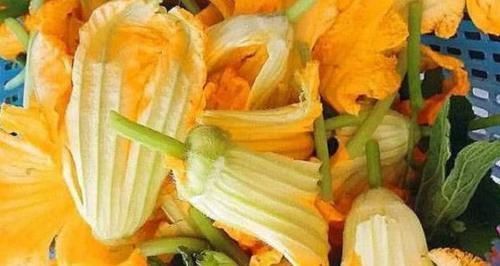 南瓜|会吃的人最健康,推荐吃3种食物,养护肠胃,疏通血管,增强体质