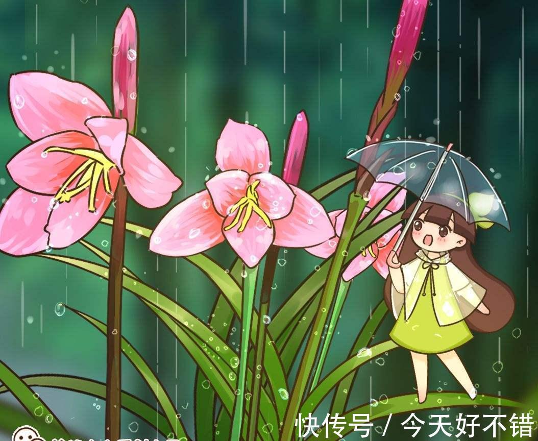 4种花10月份要及时翻盆,今年才会继续开花,不然全烂在盆里