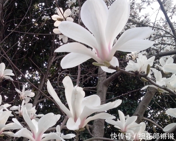 摩羯座|十二星座女生谁最漂亮?颜值排行榜,她似乎是上帝的宠儿