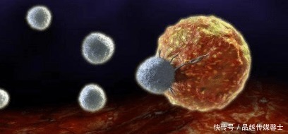 该不该|该不该化疗?关于化疗的3个真相你必须要知道?