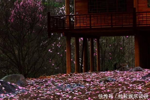 王维的这首诗,凄美至极,短短20字,从花开写到花落