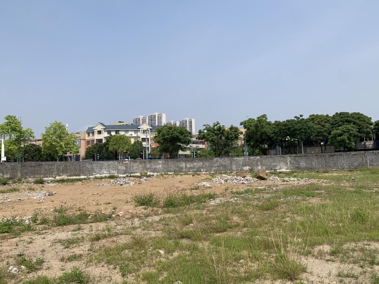 土拍“开闸”！总价超24亿，翠亨+石岐+小榄齐挂地|土拍快讯| 翠亨