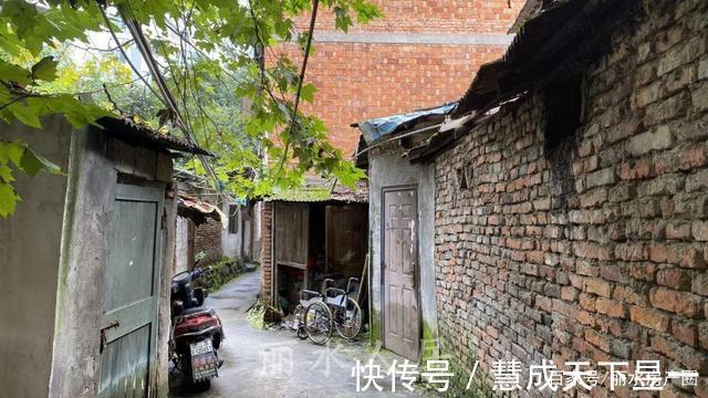 征收|丽水市区花园路上的这排老房子你注意到了吗居民们要迎来新生活
