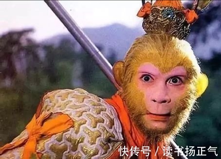 朱紫国$难怪猴哥经过真假悟空一劫后不再找观音帮忙了,看观音对他说过啥