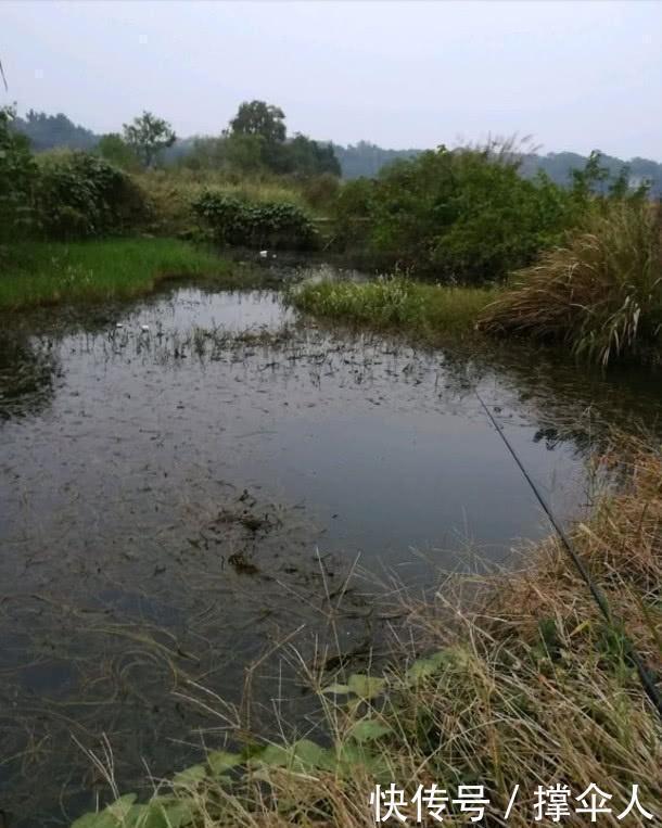 冬天如何钓好草洞？三个技巧让你渔获倍增---皇禾钓具