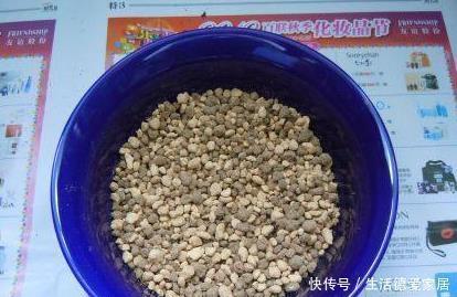 适合|花盆里加点这个,不烂根不黄叶,轻松养满盆