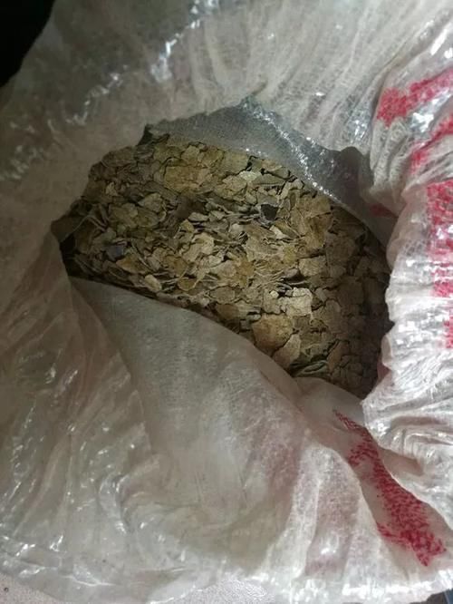 花生全身都是宝,丢在盆里,解决了太多养花难题!