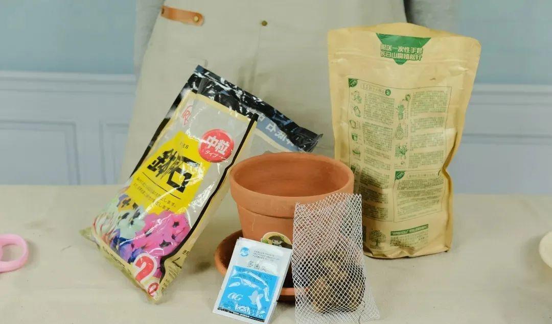 1种花不能用大盆,盆越小,水越少,开花更爆盆!