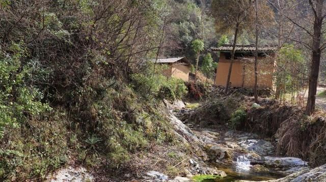 手艺|秦岭深山,主人家做饭手艺不错,满屋子香味