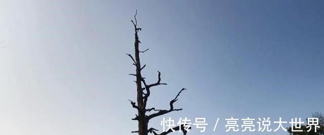 莫邪女@探访千年古寺遗址,历史源远流长,却有一段悲壮的故事!