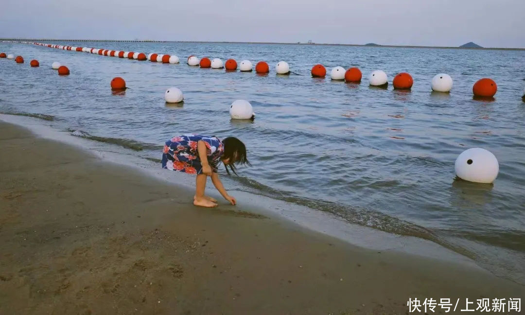 沙滩|穿越时空、漫游仙境、徜徉花海……在金山还可以这样玩