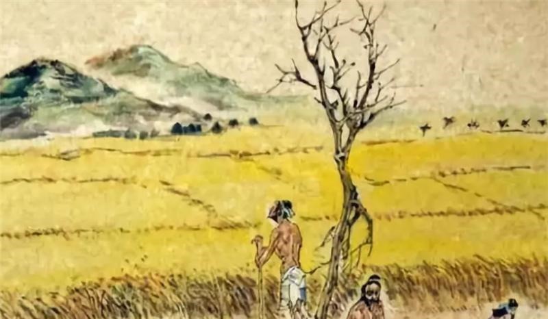 景阳冈@西门庆为何会被武松“反杀”,是真的打不过吗百年后谎言被戳穿