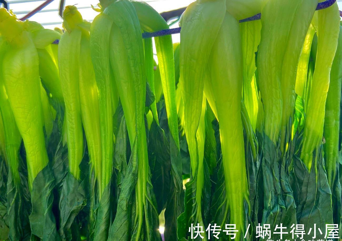 晾晒|趁着阳光充足，此9种蔬菜可以多晒一些，留着冬天吃，炖肉特别香