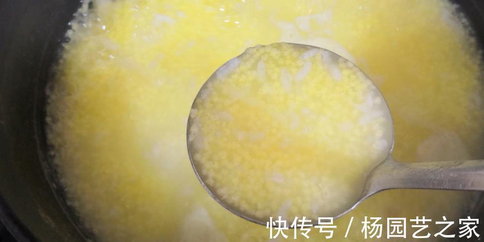 水果|秋天，这水果正当季，维生素是苹果的十倍，用它煮粥，不燥还润肺