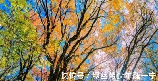 王维#王维的诗最是岁月静好,这4首不能错过,读来心中欢喜安宁!