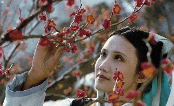 轻薄|三更半夜,妙玉被强盗轻薄后掳走,为何又能安全地在瓜洲渡口现身